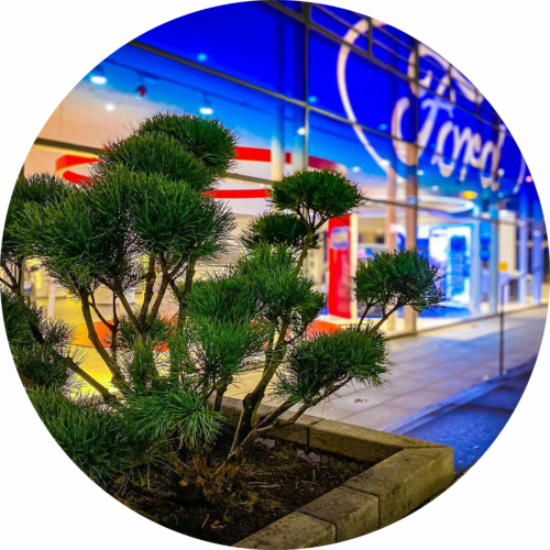 20220629 Autohaus Weller Repros 0049